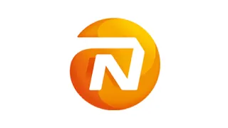 nn.jpg